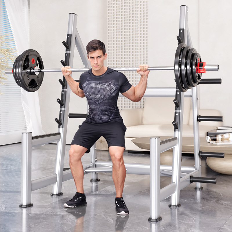 Squat Rack Power Cage, Plate L - đánh giá và giá Squat Rack Power