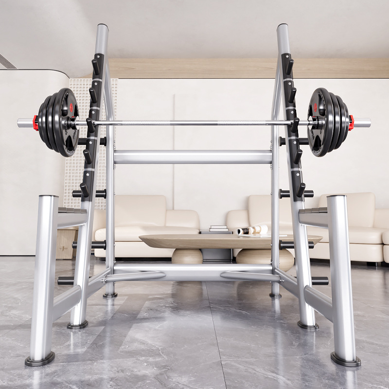 Squat Rack Power Cage, Plate L - đánh giá và giá Squat Rack Power