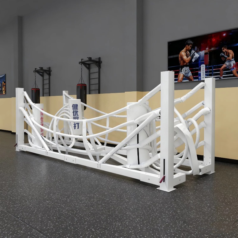 Foldable Gym Boxing Ring Set S - đánh giá và giá Home Gym Equipment Set