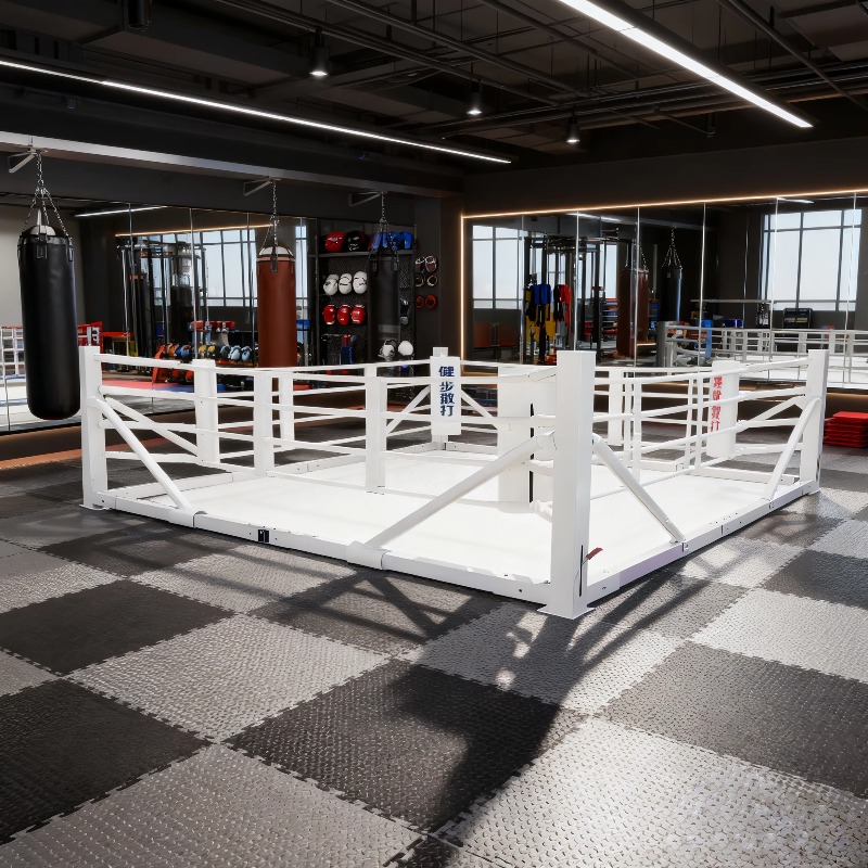 Foldable Gym Boxing Ring Set S - đánh giá và giá Home Gym Equipment Set